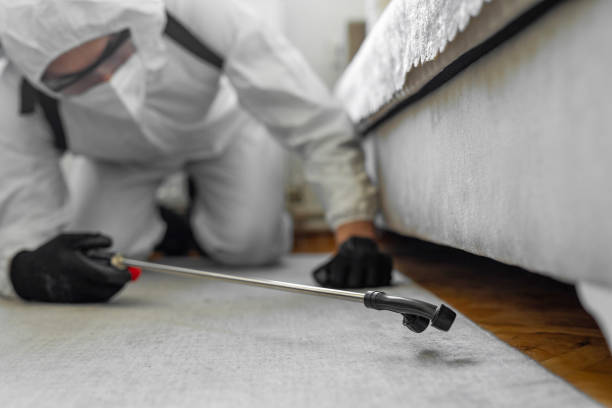 Professional Bed Bug Control technician working in Thomasville, AL