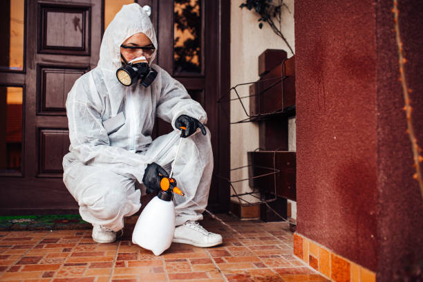 Reliable Bed Bug Control contractor in Thomasville, AL by Nex Pest Control